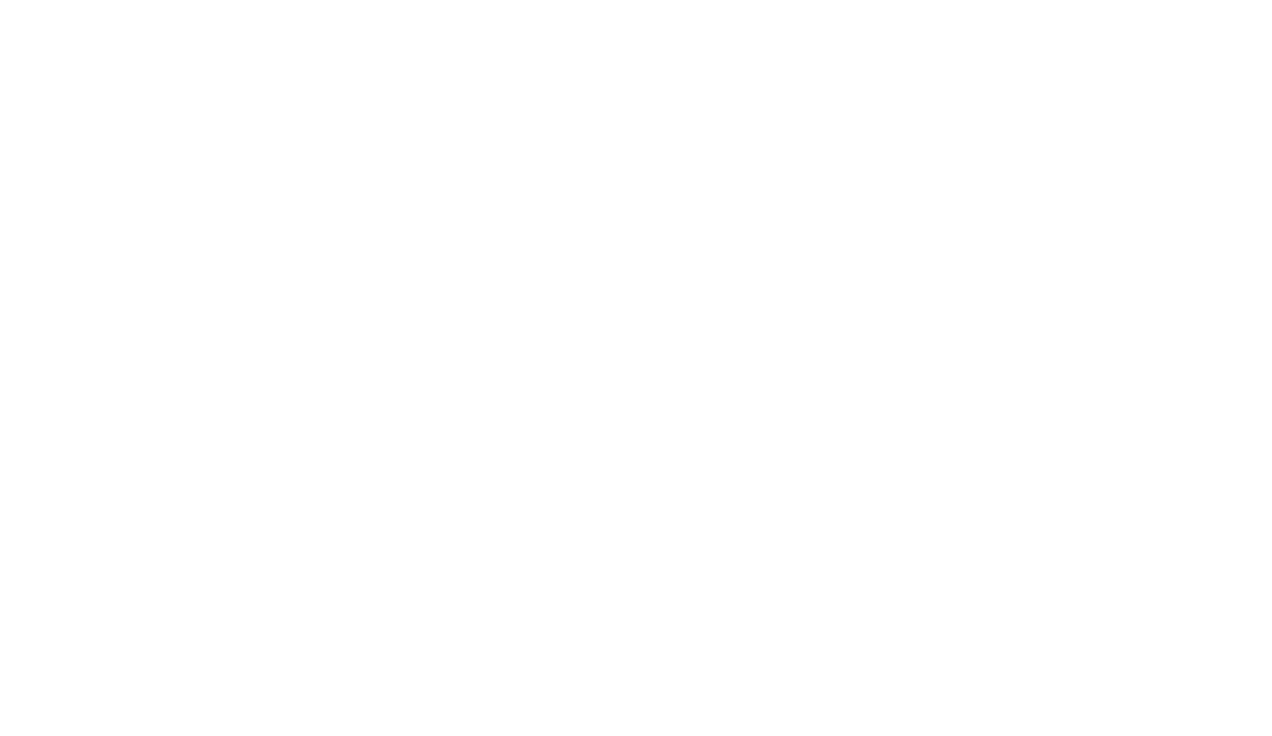 Action Logistics logo